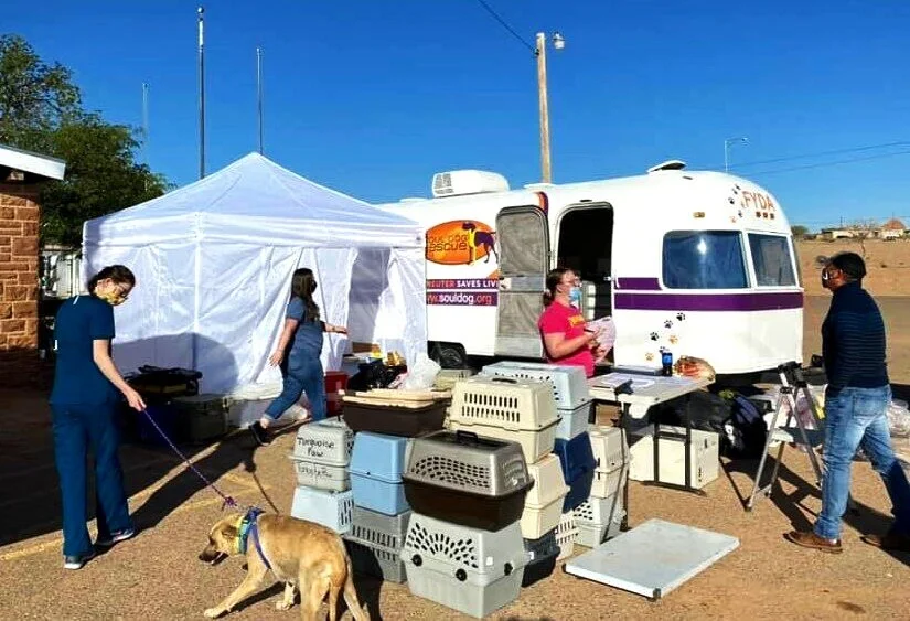 Supporting Soul Dog Rescue — C.A.R.E